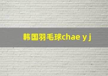 韩国羽毛球chae y j